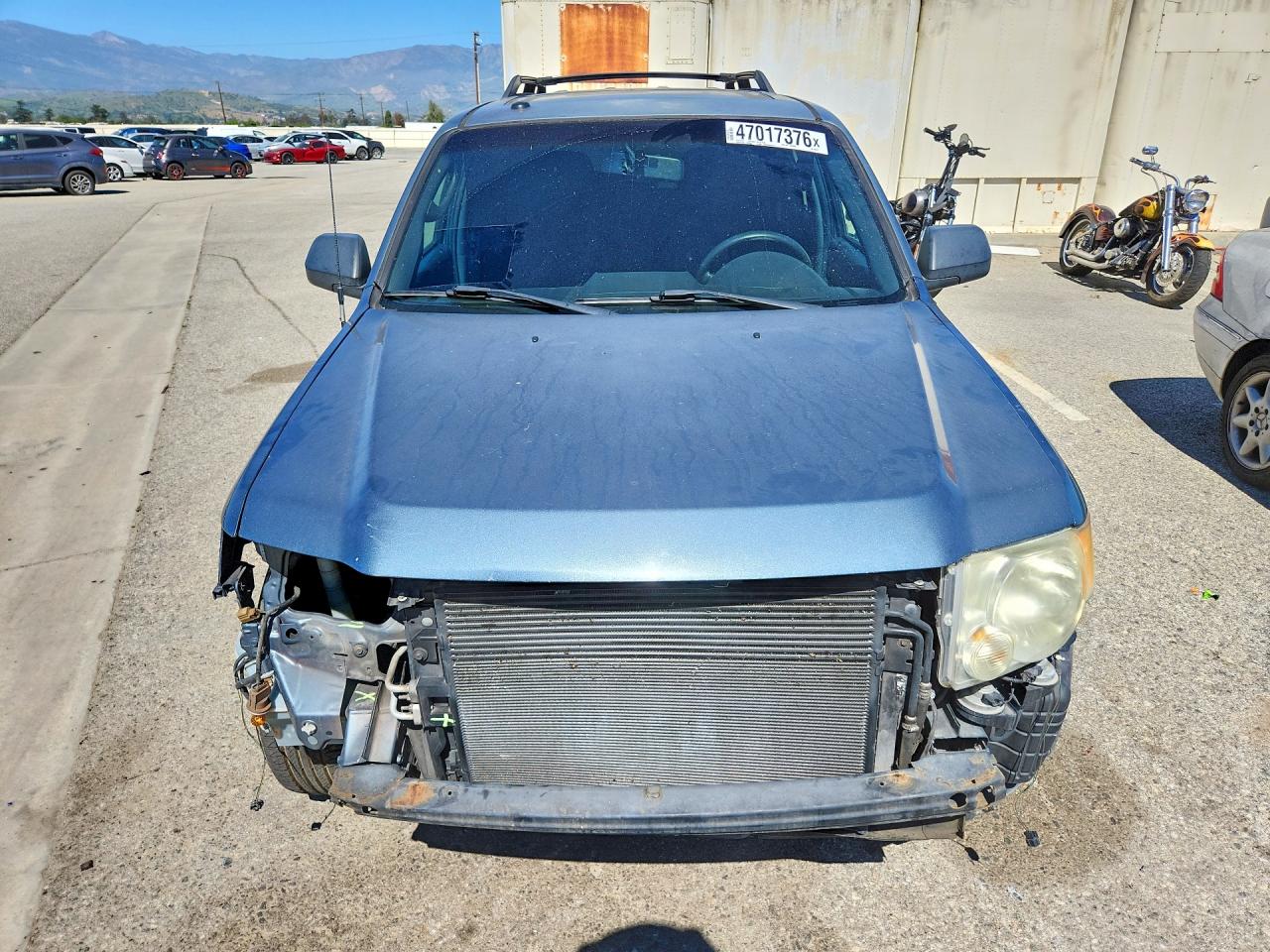 2010 FORD ESCAPE XLT photo 5