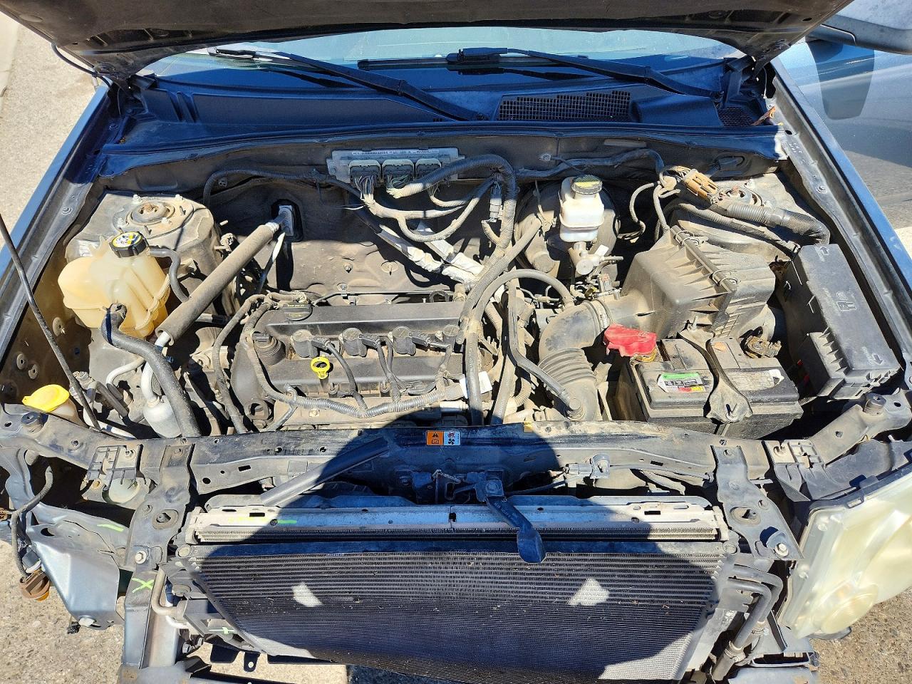 2010 FORD ESCAPE XLT photo 12