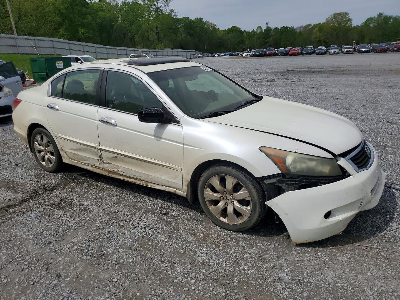 2009 HONDA ACCORD EXL photo 7