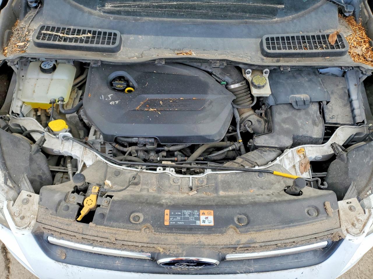 2014 FORD ESCAPE SE photo 12