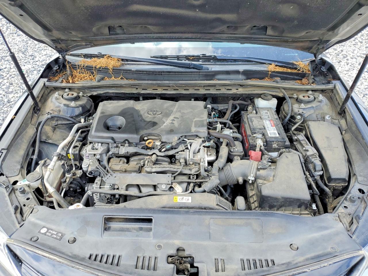 2019 TOYOTA CAMRY photo 11