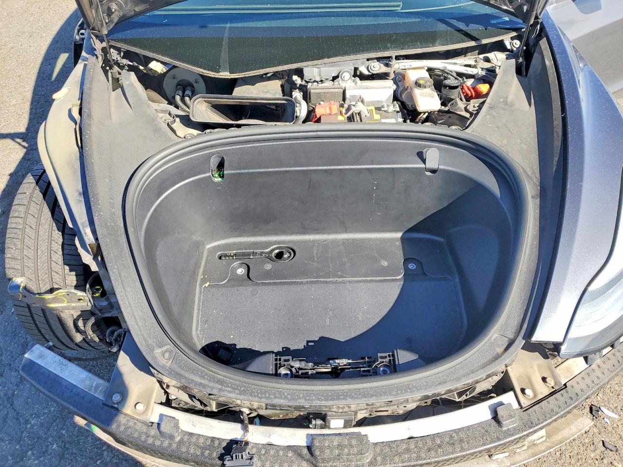 2019 TESLA MODEL 3 photo 11