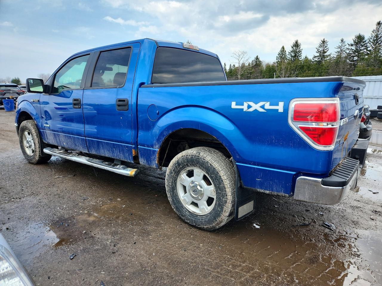 2014 FORD F150 SUPERCREW photo 3