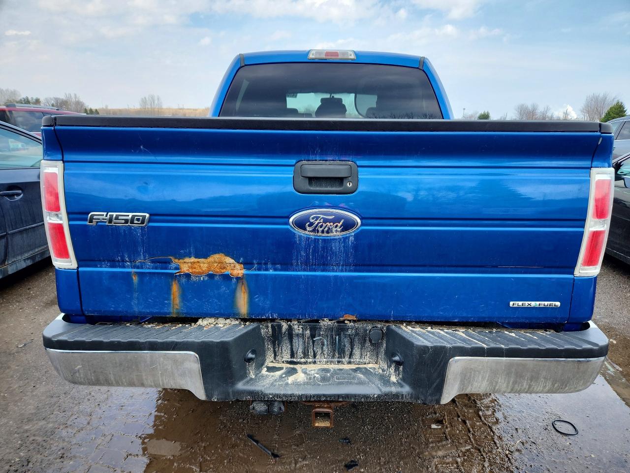 2014 FORD F150 SUPERCREW photo 11