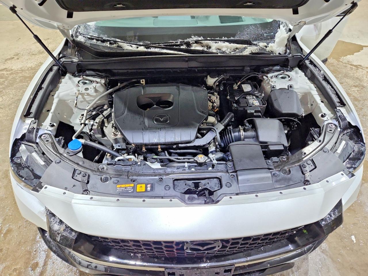 2025 MAZDA CX-50 PREMIUM PLUS photo 34