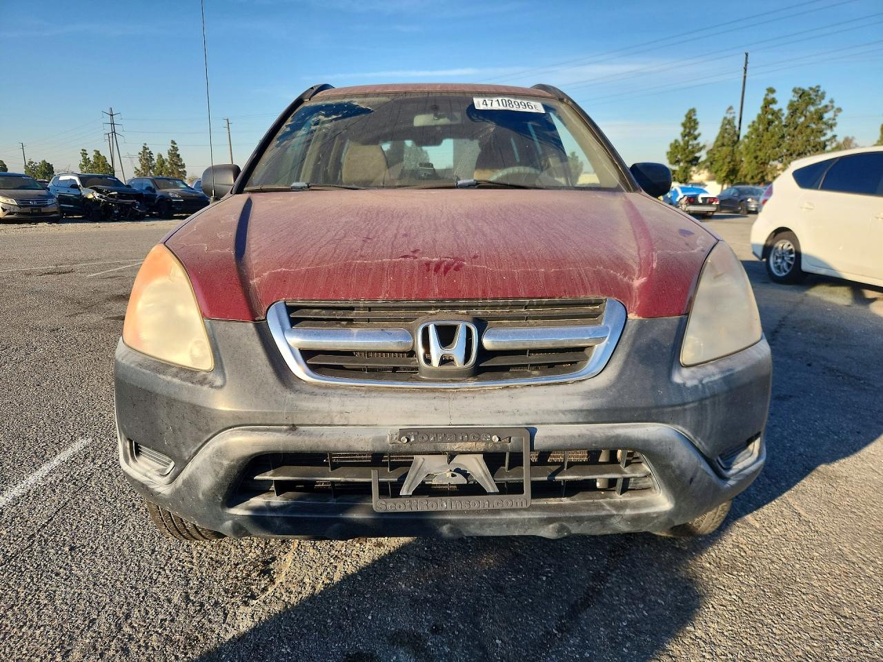 2003 HONDA CR-V LX photo 9
