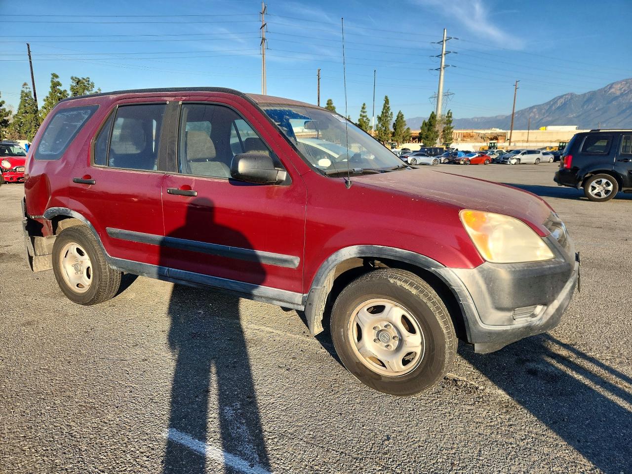 2003 HONDA CR-V LX photo 7