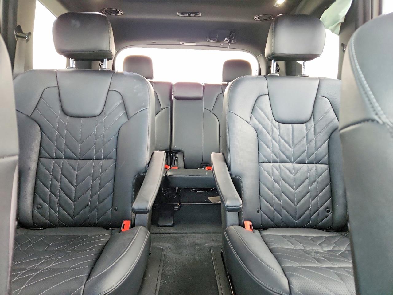 2025 KIA TELLURIDE SX X-LINE photo 10