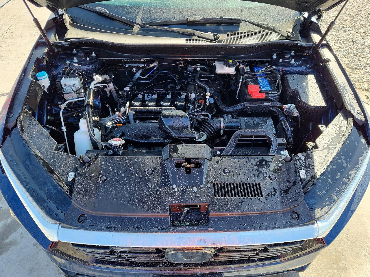 2024 HONDA CR-V EXL photo 12
