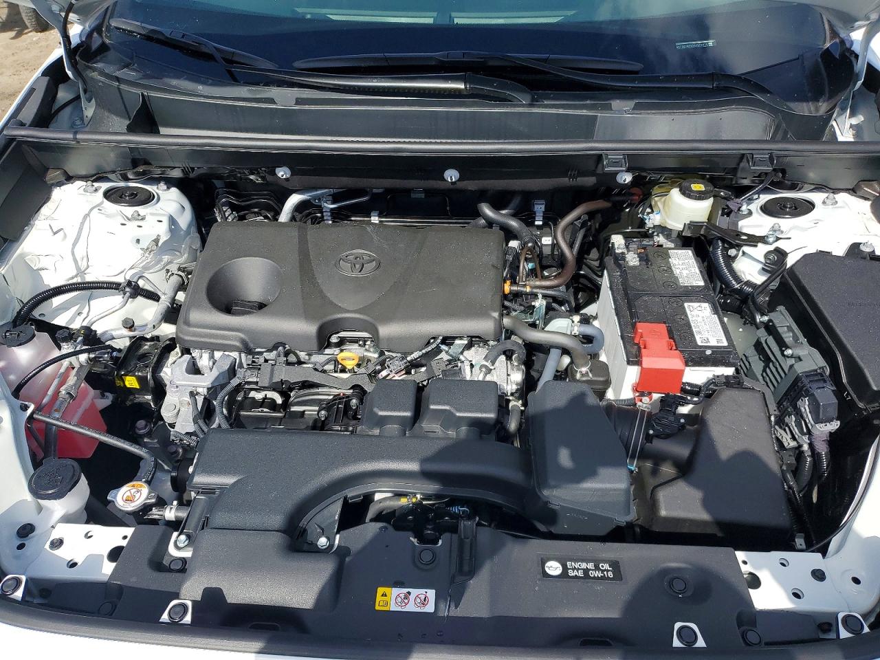 2025 TOYOTA RAV4 LE photo 23
