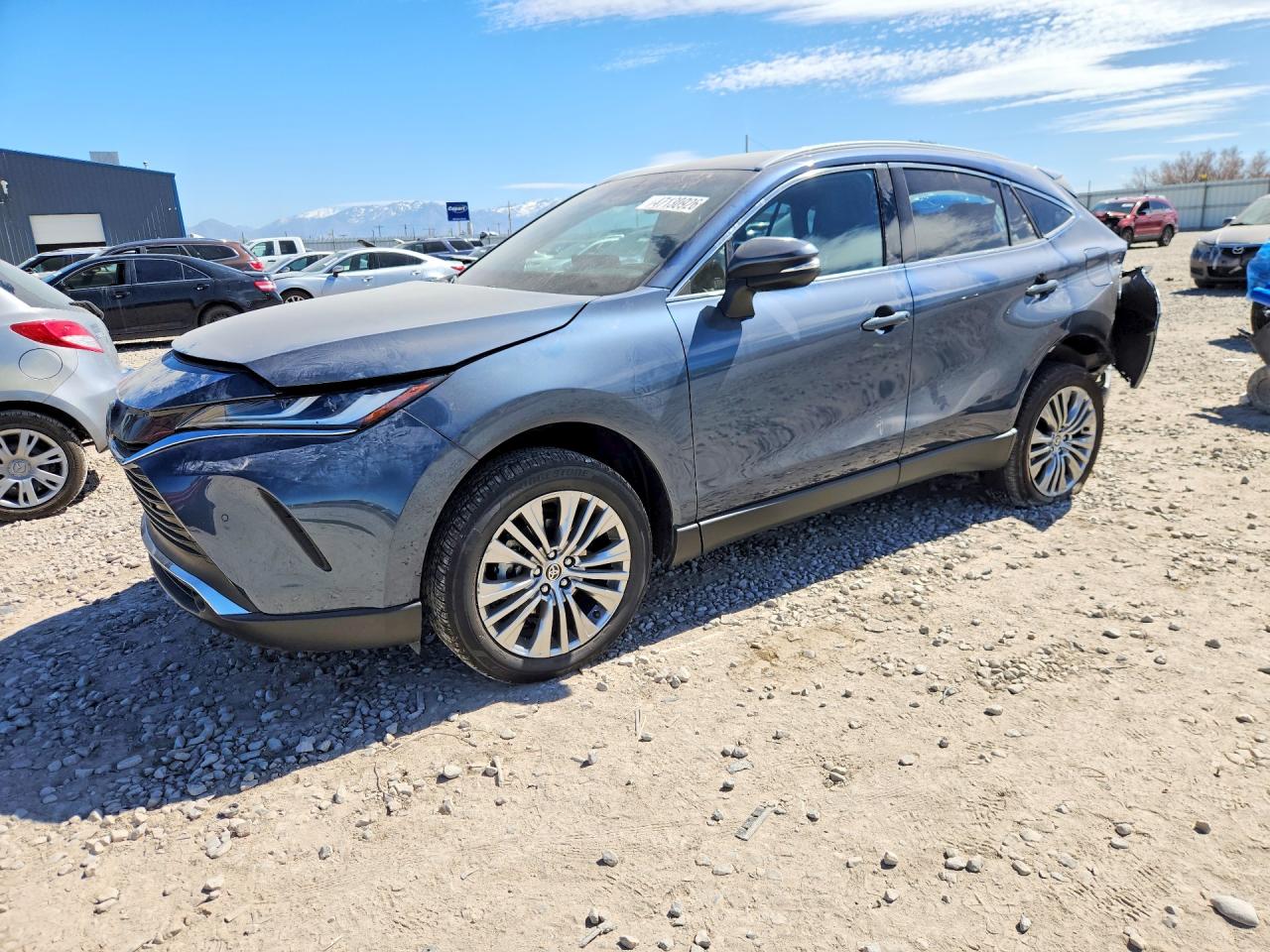 2023 TOYOTA VENZA