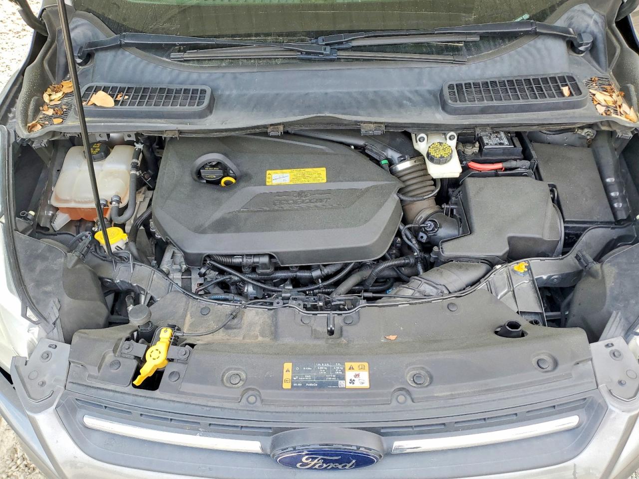 2014 FORD ESCAPE SE photo 12