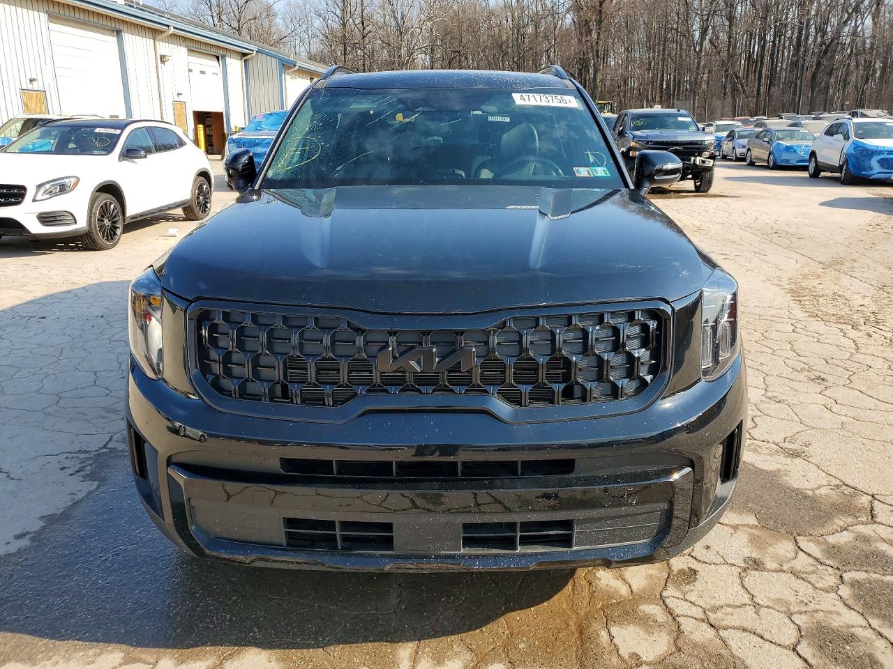 2025 KIA TELLURIDE EX X-PRO photo 9