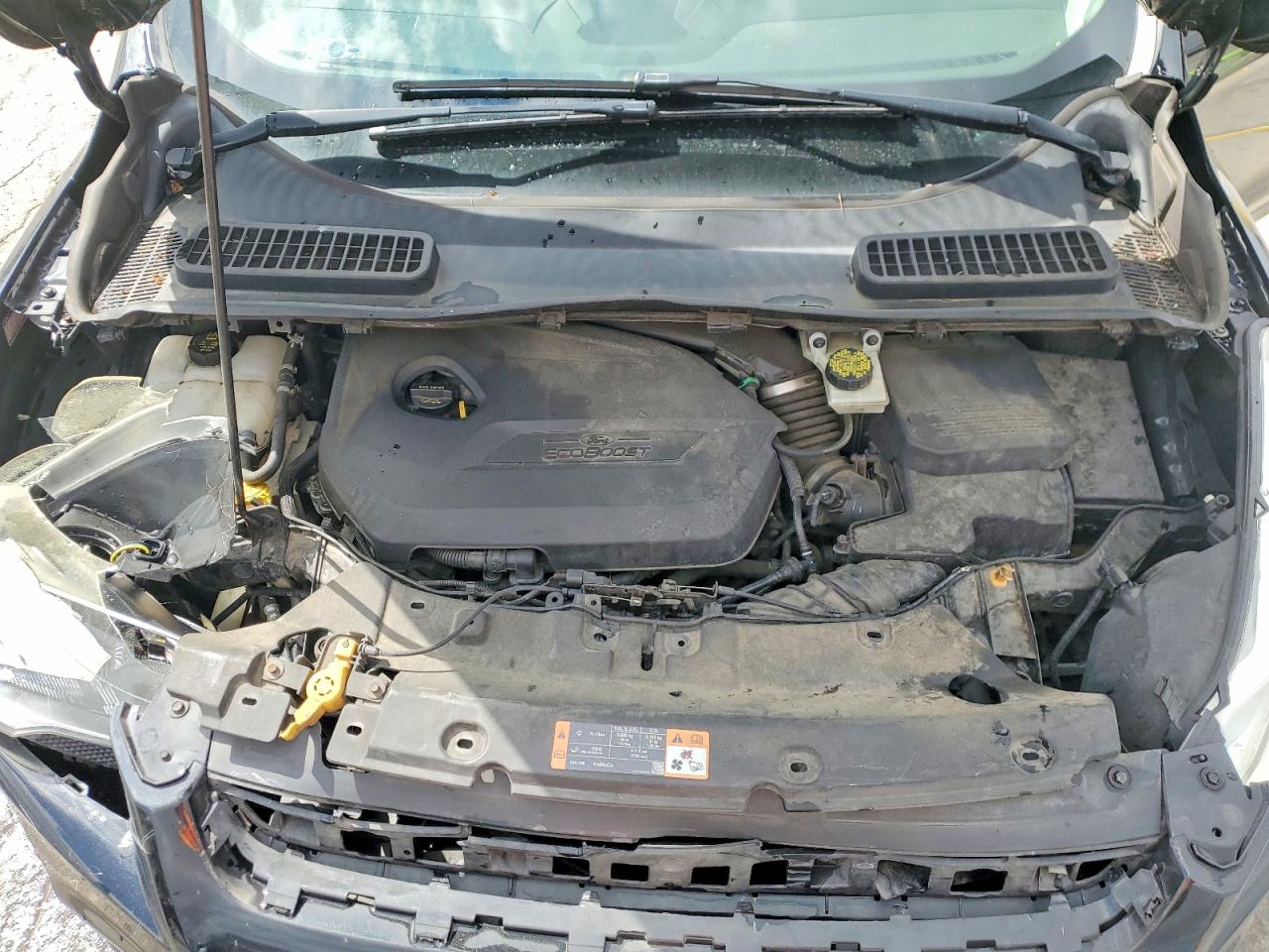 2014 FORD ESCAPE SE photo 23