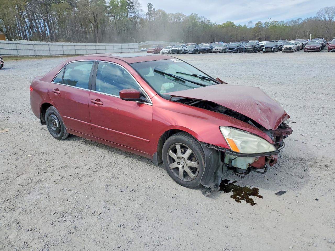 2005 HONDA ACCORD EX photo 7