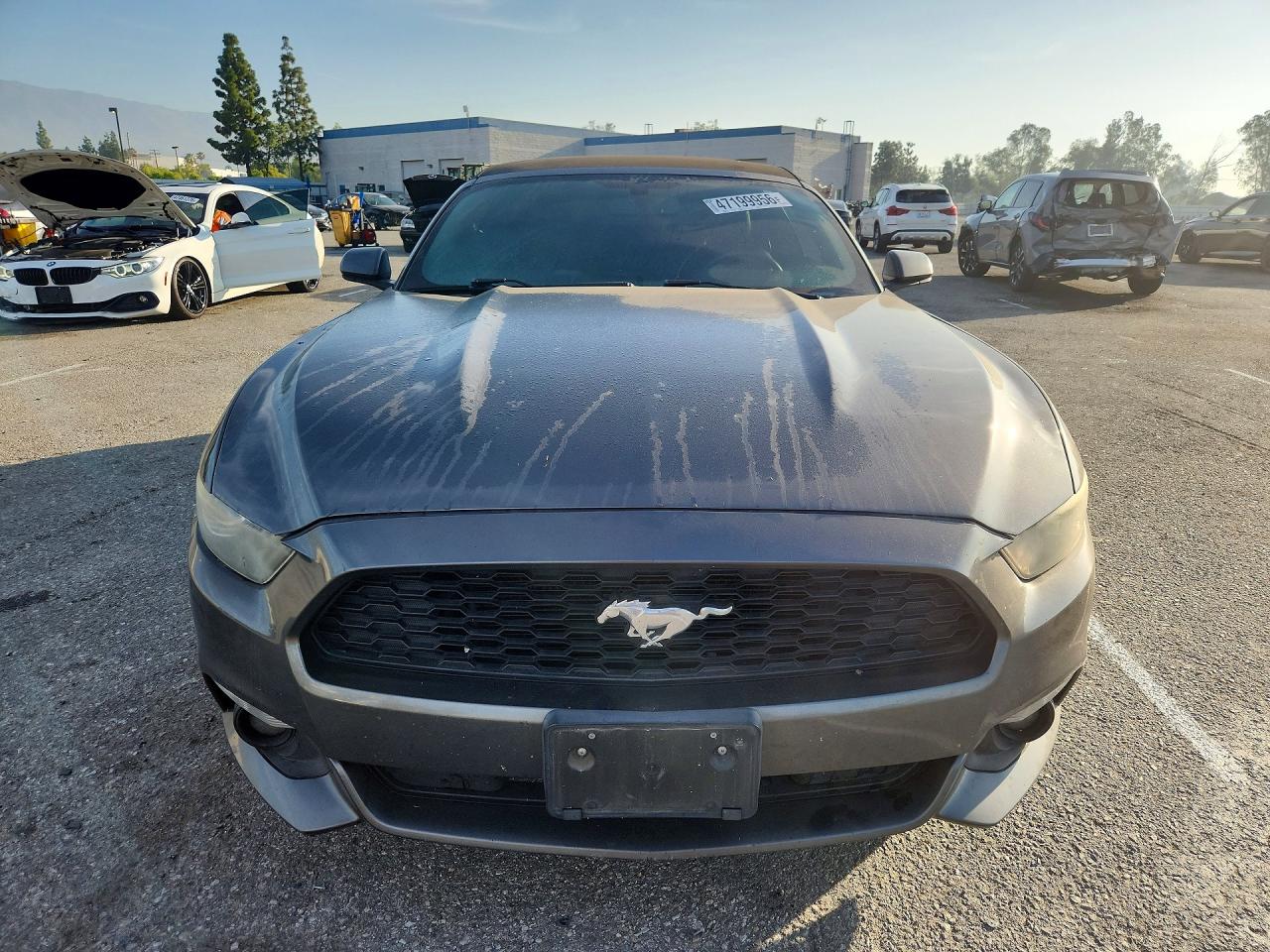 2015 FORD MUSTANG photo 9