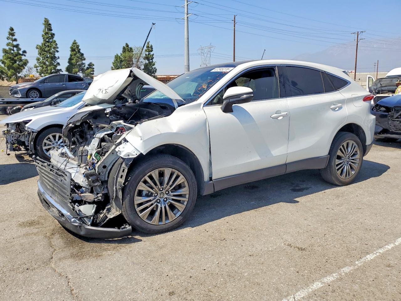 2023 TOYOTA VENZA