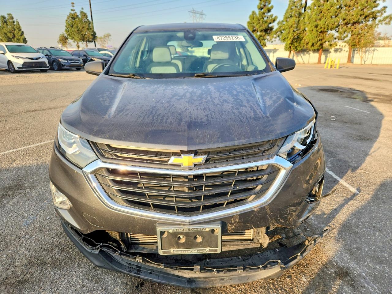 2020 CHEVROLET EQUINOX LS photo 13