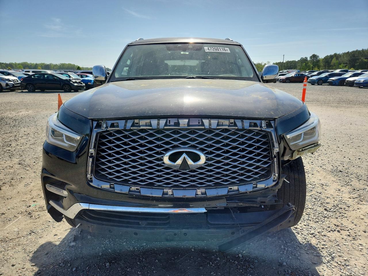 2019 INFINITI QX80 LUXE photo 9