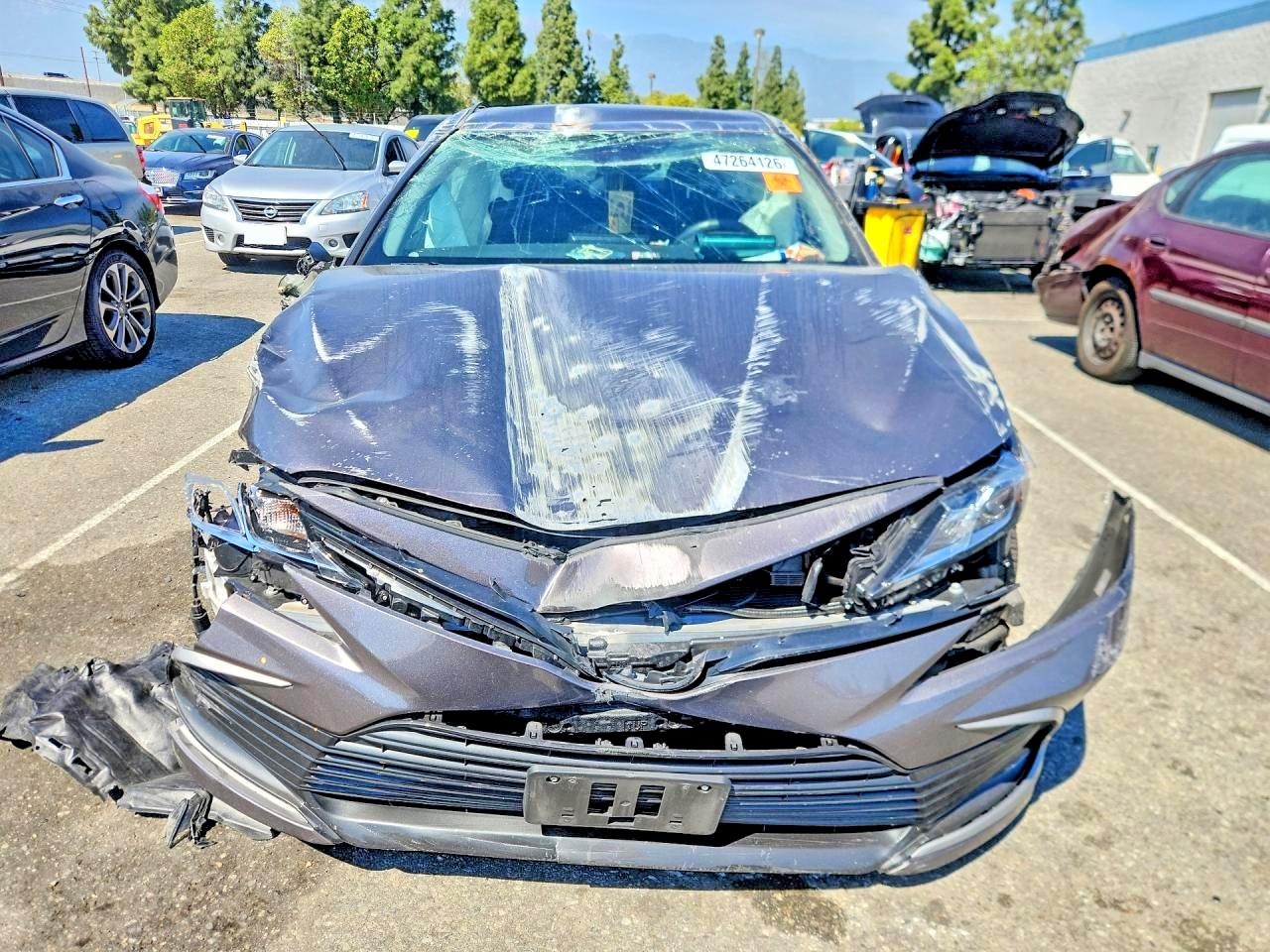 2024 TOYOTA CAMRY LE photo 13