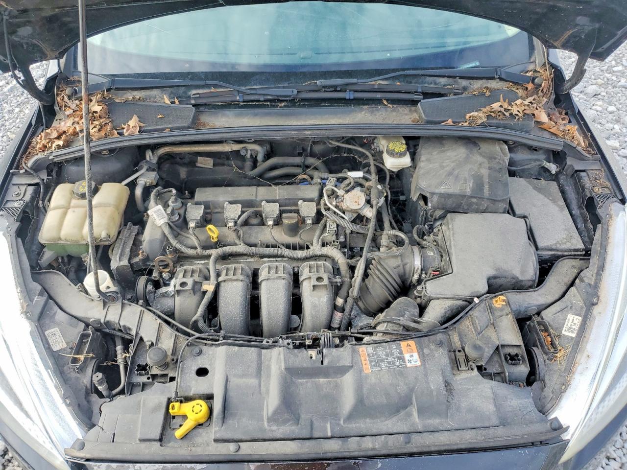 2017 FORD FOCUS SE photo 23