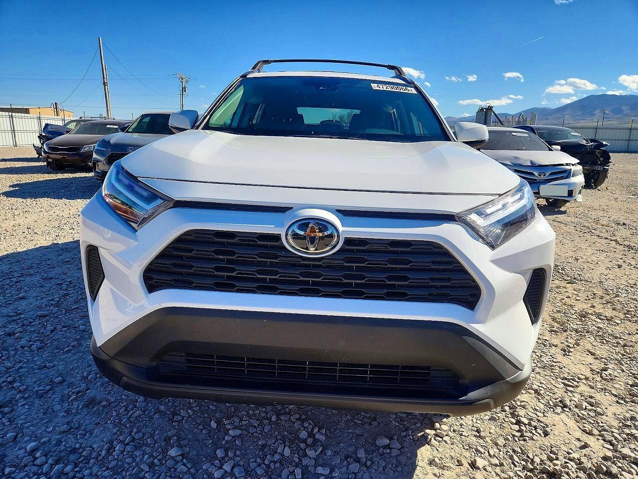 2025 TOYOTA RAV4 XLE photo 5