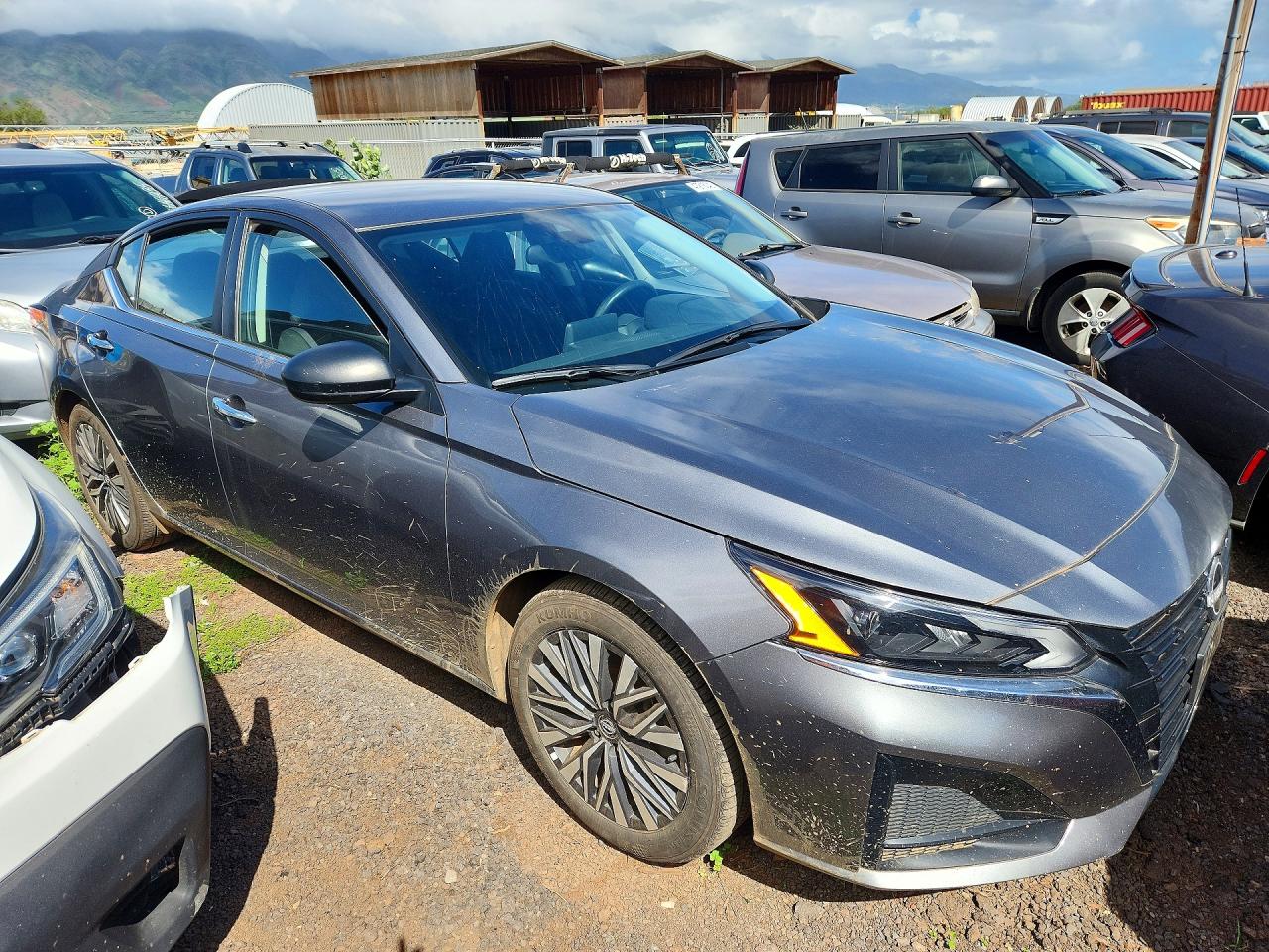 2025 NISSAN ALTIMA 2.5 SV photo 4