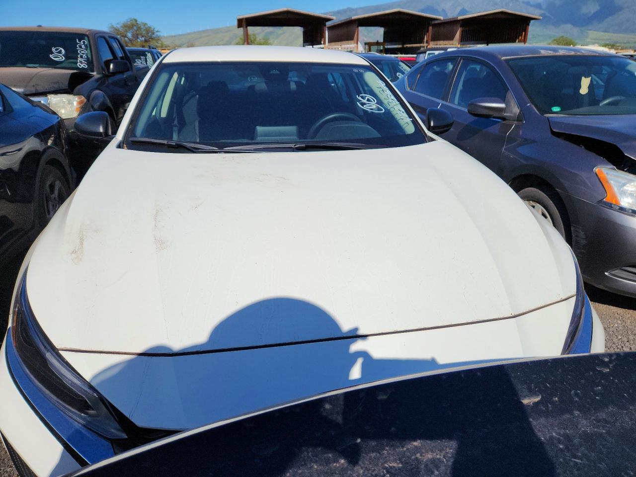 2025 NISSAN ALTIMA 2.5 SV photo 5