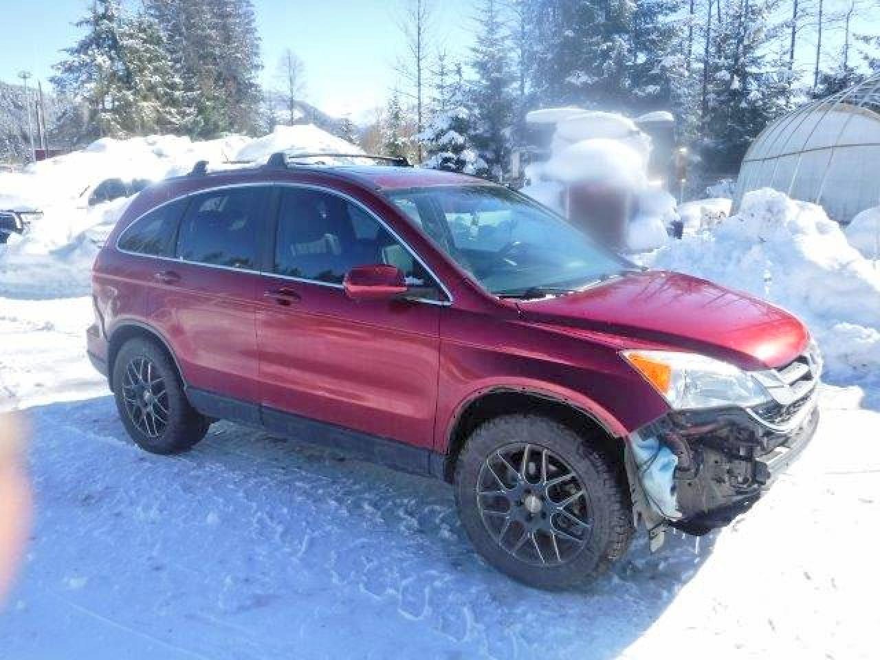2010 HONDA CR-V EXL photo 7