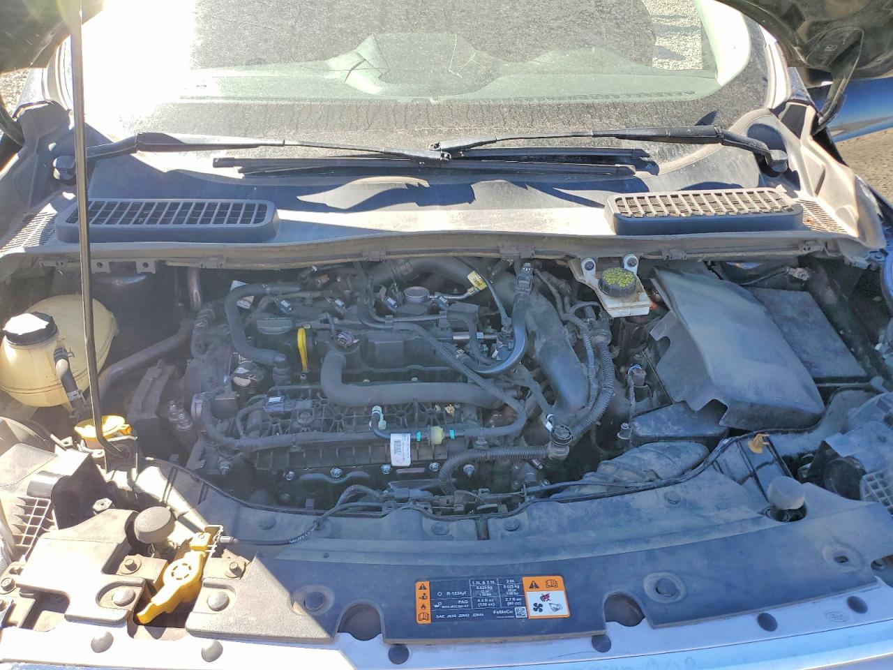 2019 FORD ESCAPE SE photo 12