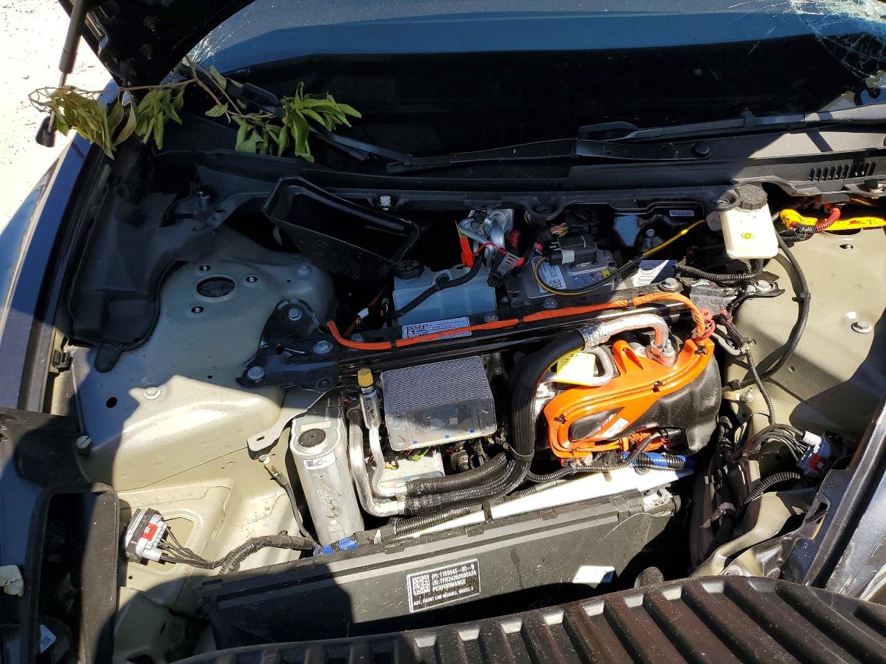 2024 TESLA MODEL 3 photo 21
