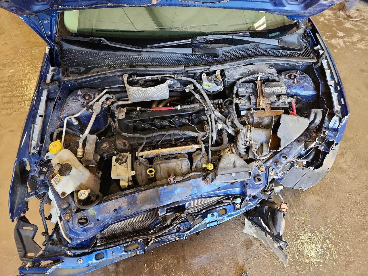 2009 FORD FOCUS SE photo 11