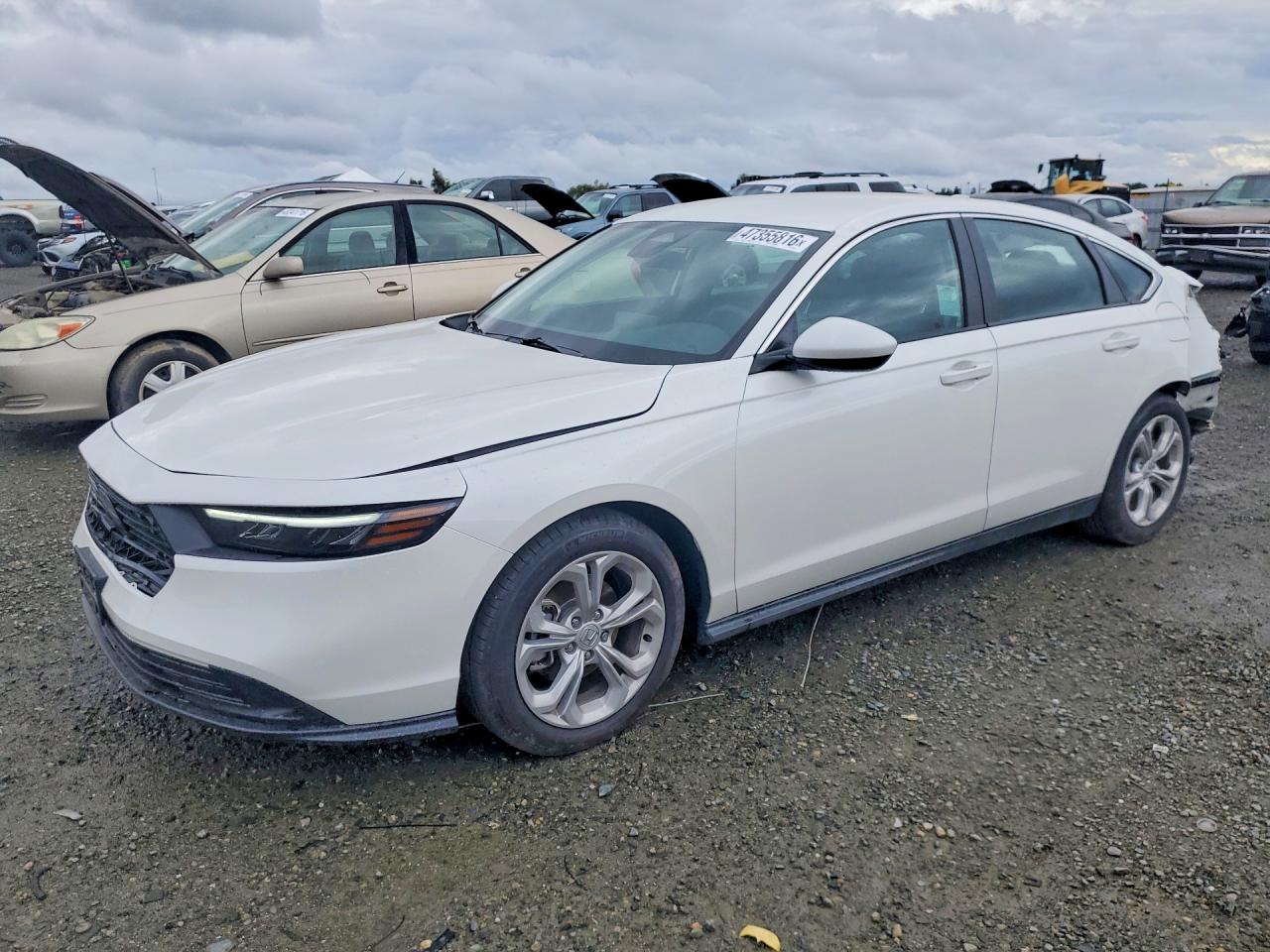 2025 HONDA ACCORD