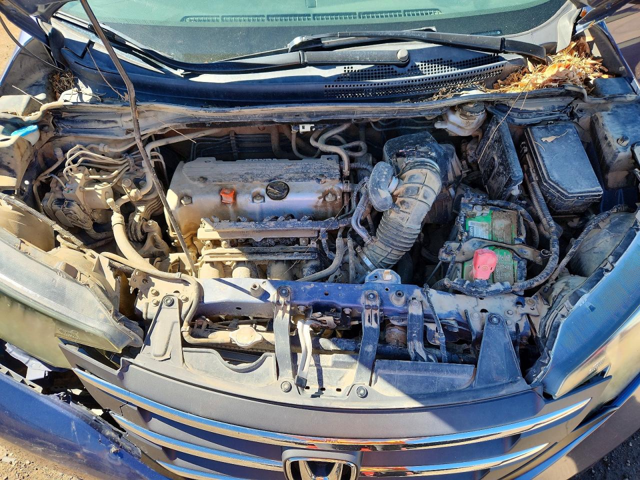 2014 HONDA CR-V LX photo 11
