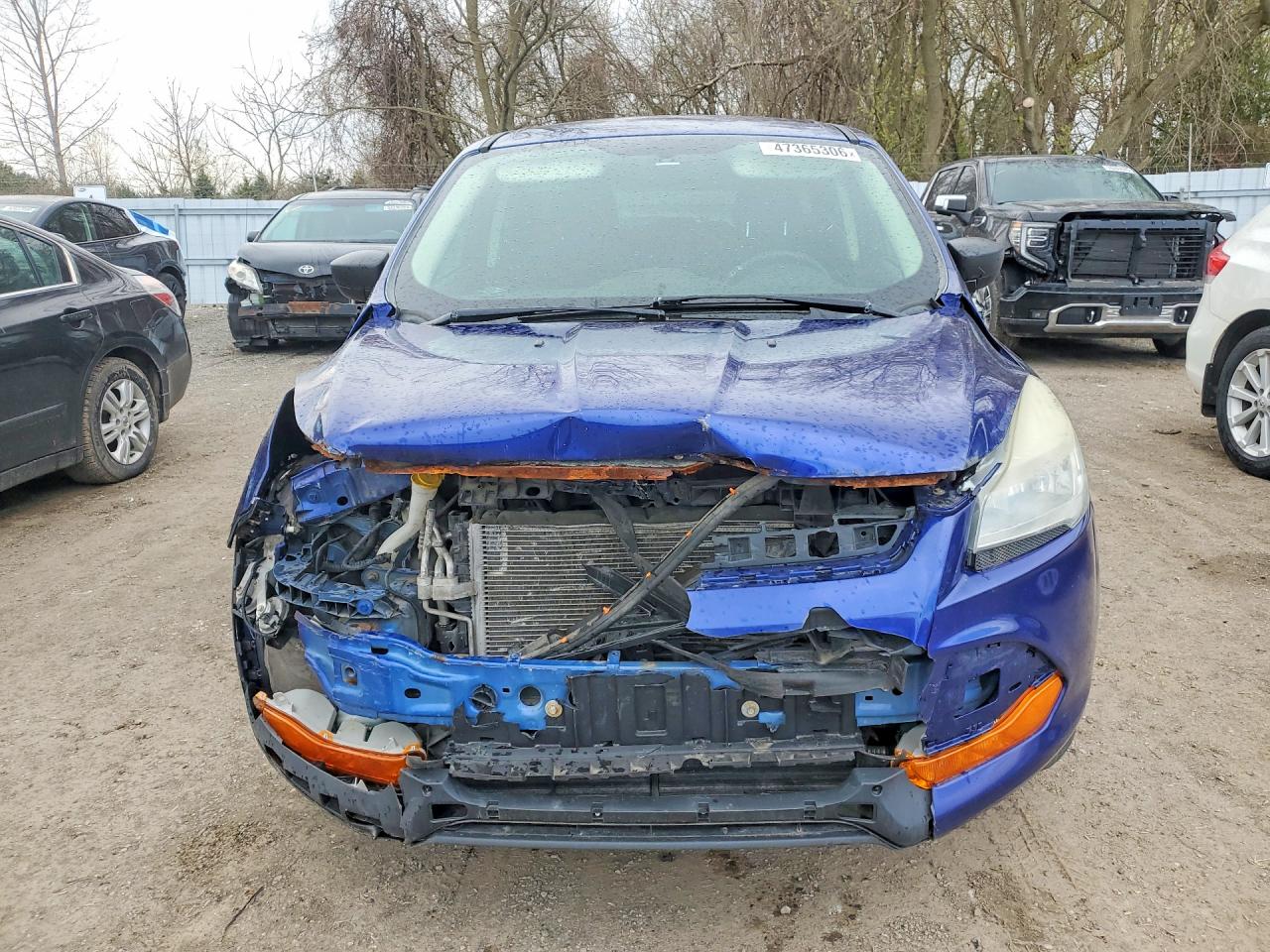 2014 FORD ESCAPE S photo 9