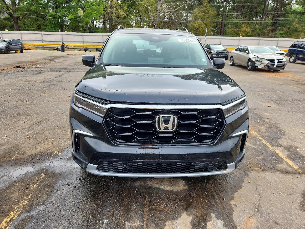 2025 HONDA PILOT ELITE photo 13