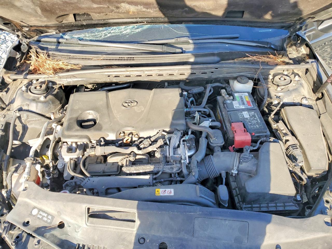 2019 TOYOTA CAMRY LE photo 11