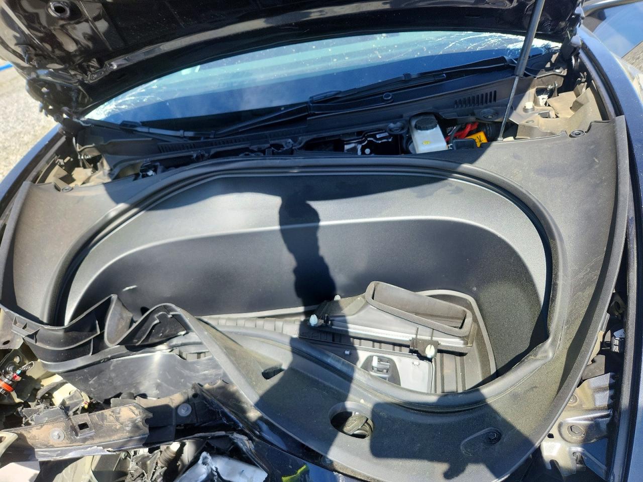 2024 TESLA MODEL 3 photo 31