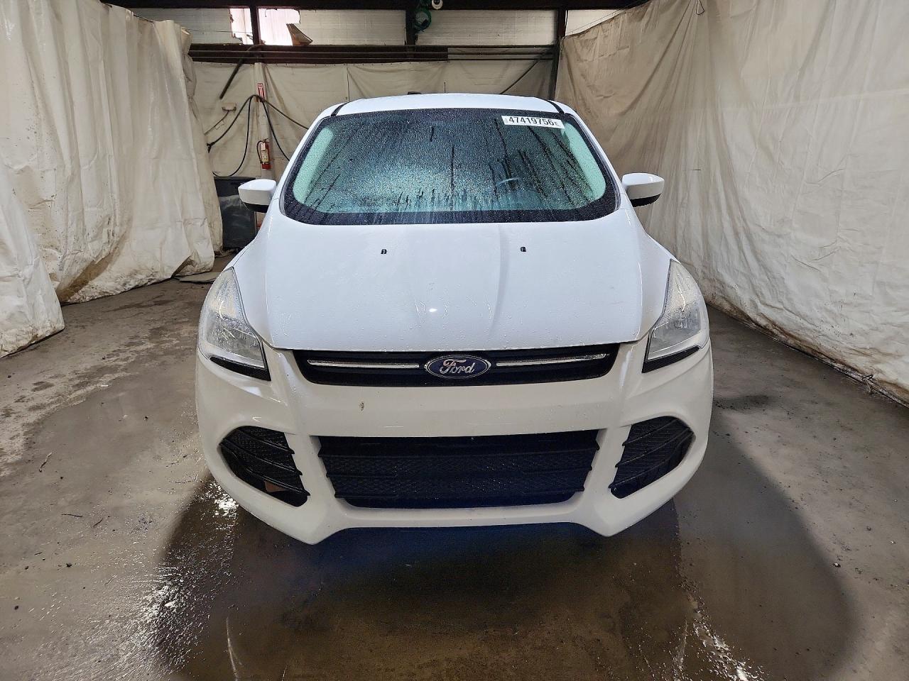 2013 FORD ESCAPE SE photo 5