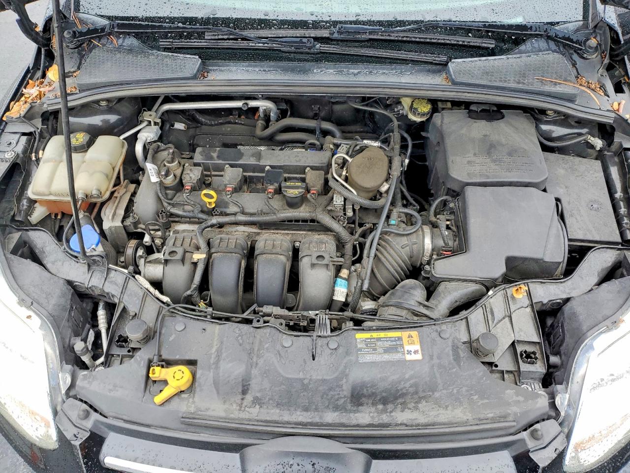 2014 FORD FOCUS SE photo 11