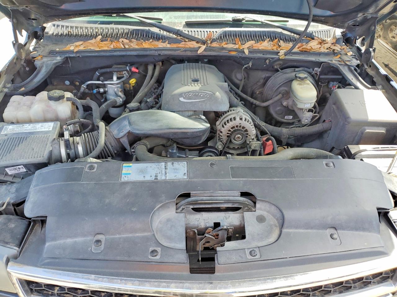 2006 CHEVROLET SILVERADO C1500 photo 21