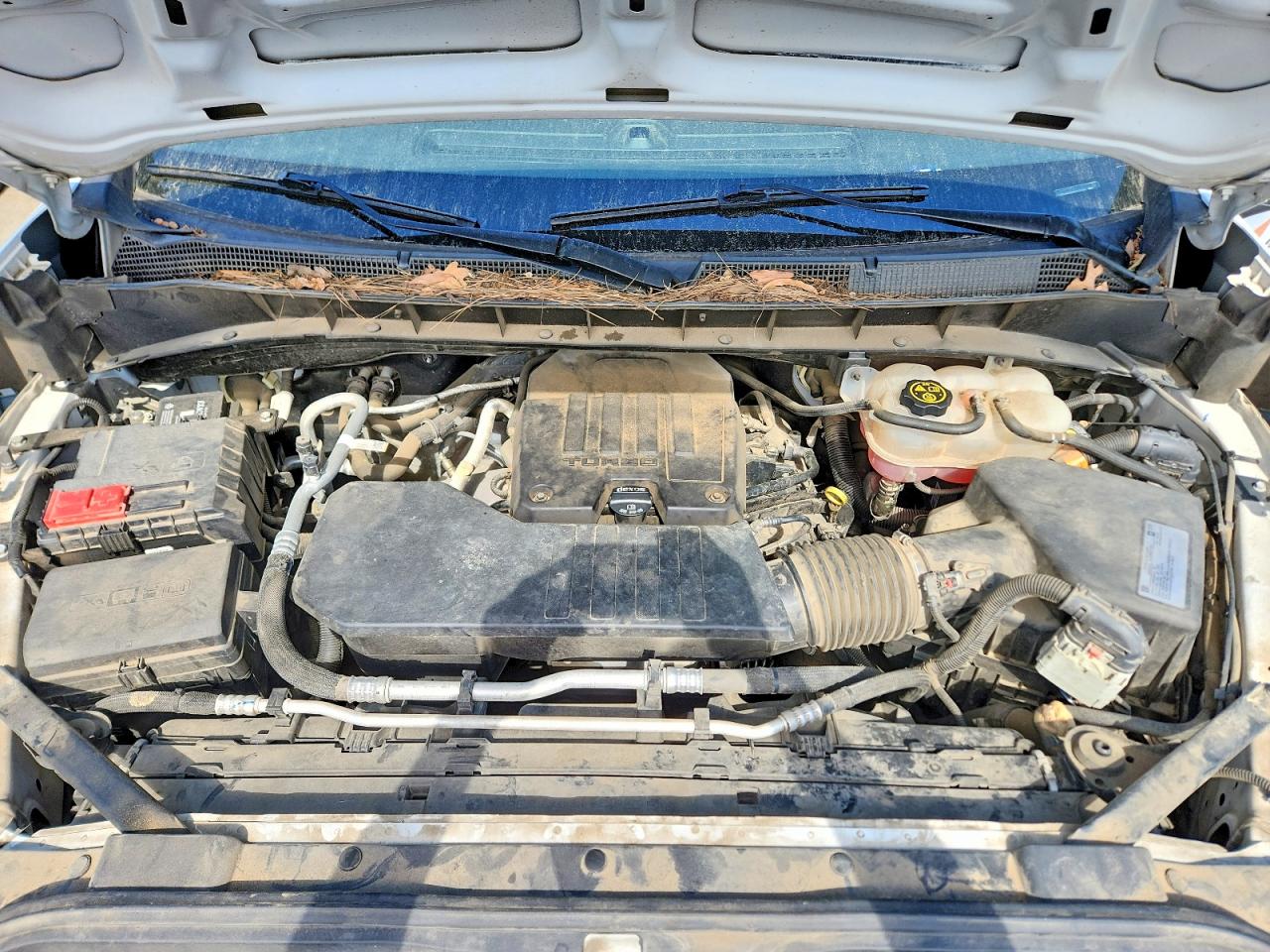 2021 CHEVROLET SILVERADO C1500 photo 11