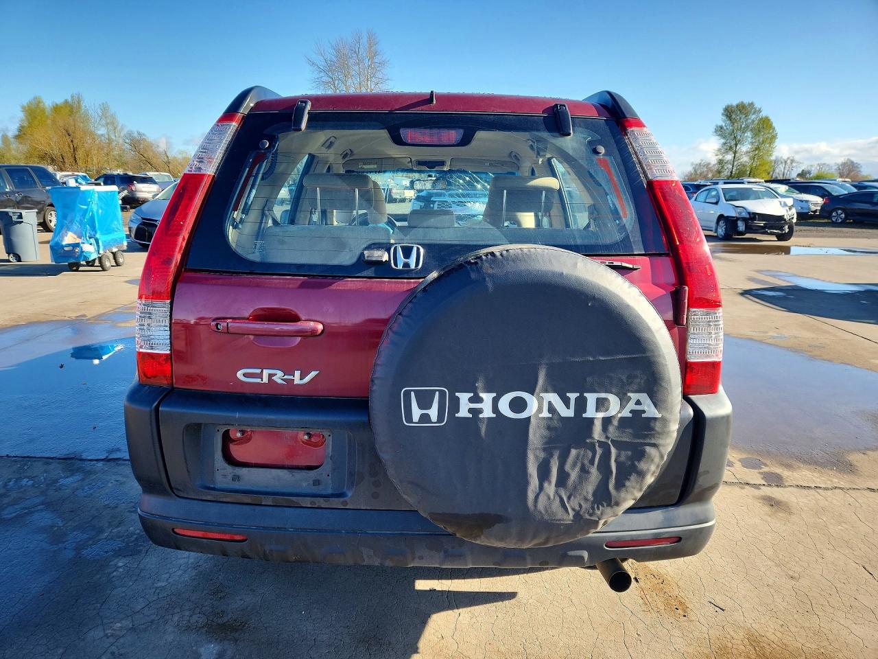 2005 HONDA CR-V LX photo 11
