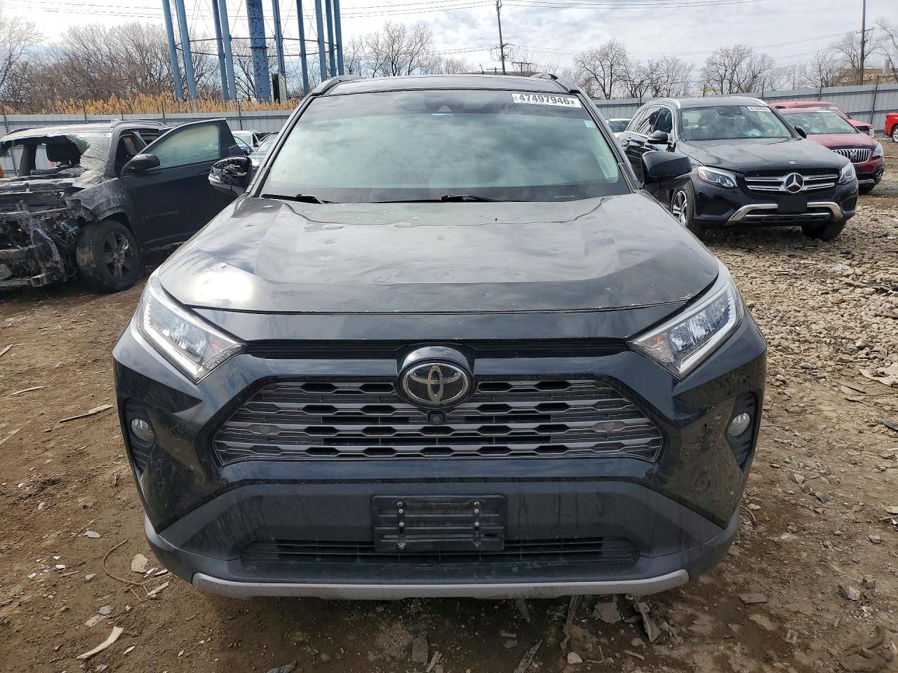 2019 TOYOTA RAV4 LIMITED photo 5