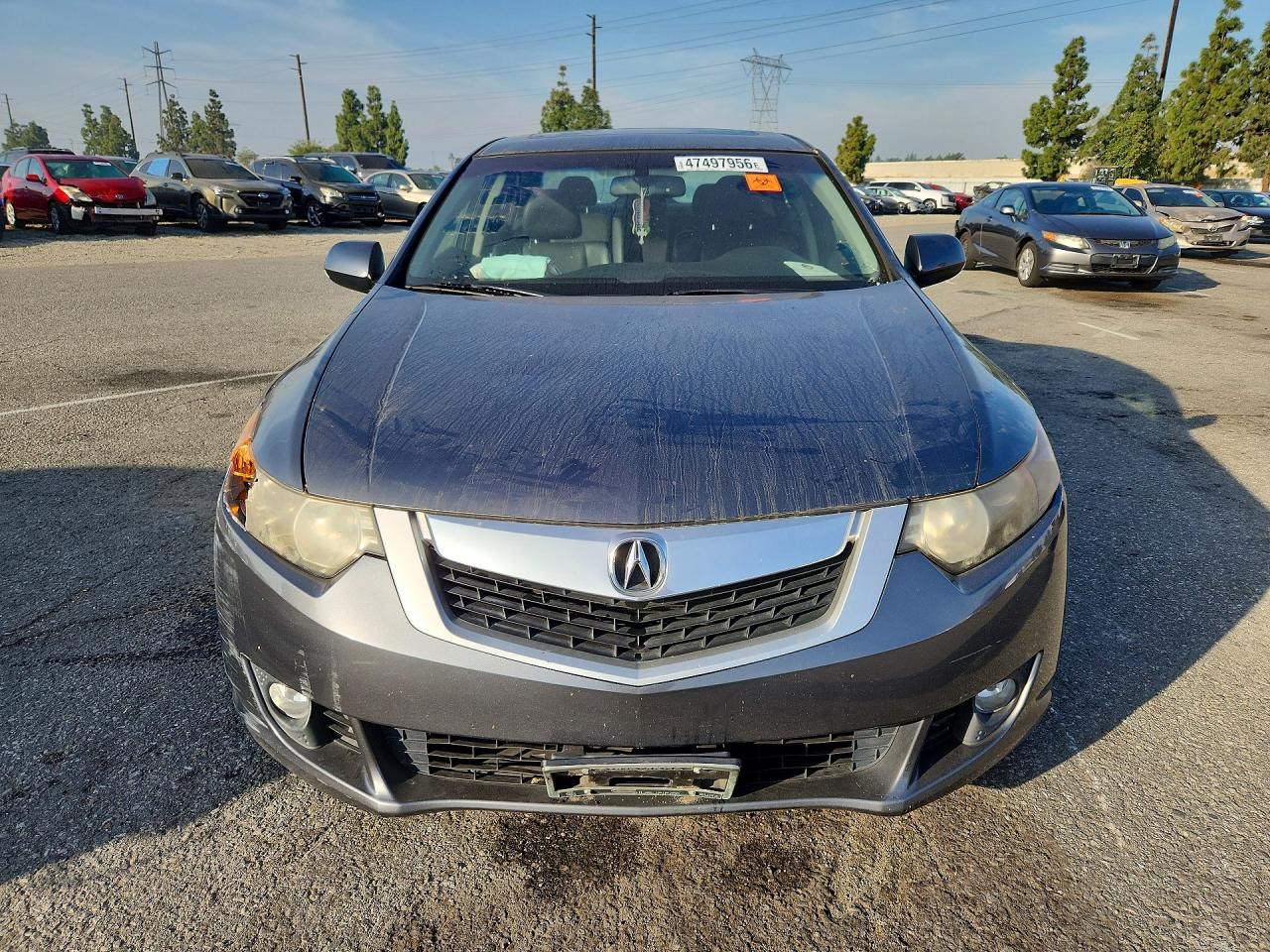 2010 ACURA TSX photo 9