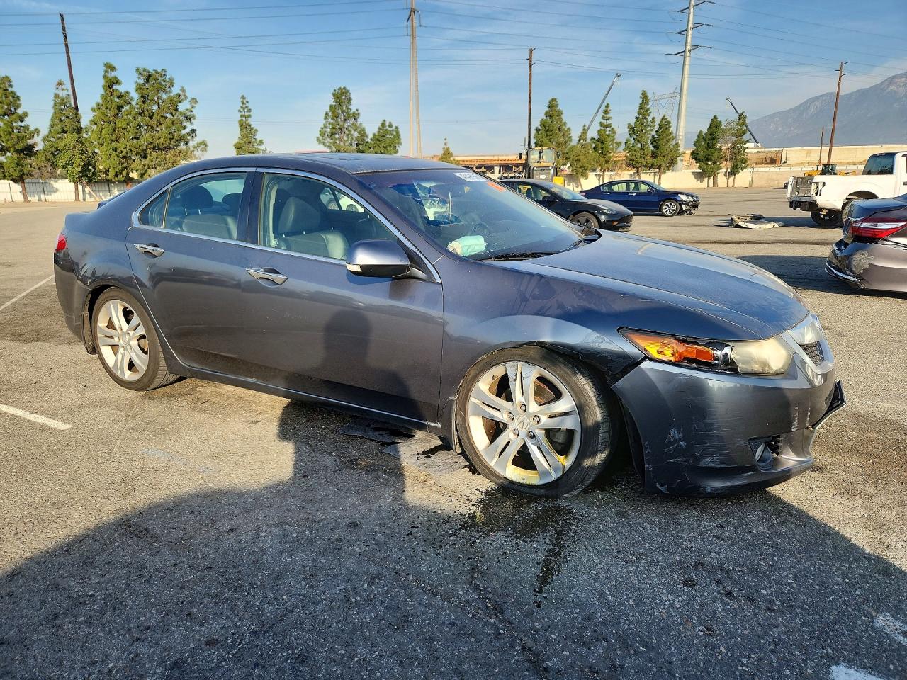 2010 ACURA TSX photo 7