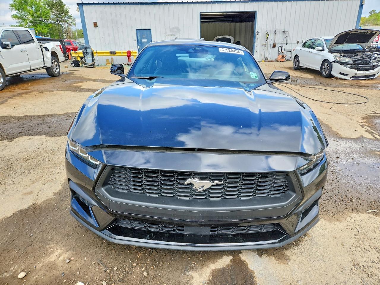 2024 FORD MUSTANG photo 9