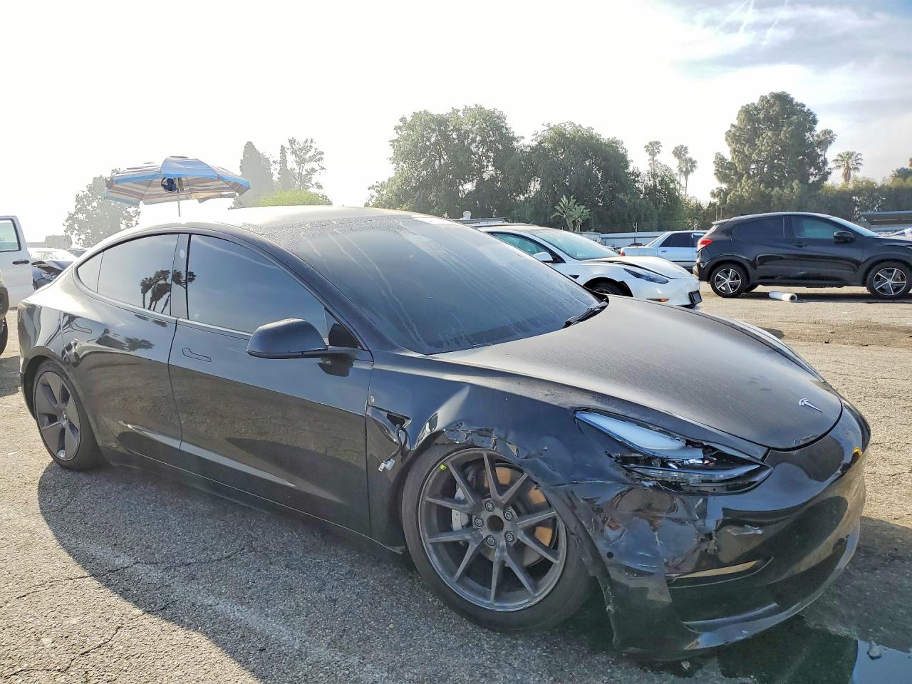 2022 TESLA MODEL 3 photo 4