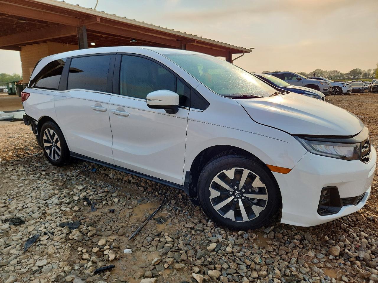 2025 HONDA ODYSSEY EXL photo 10
