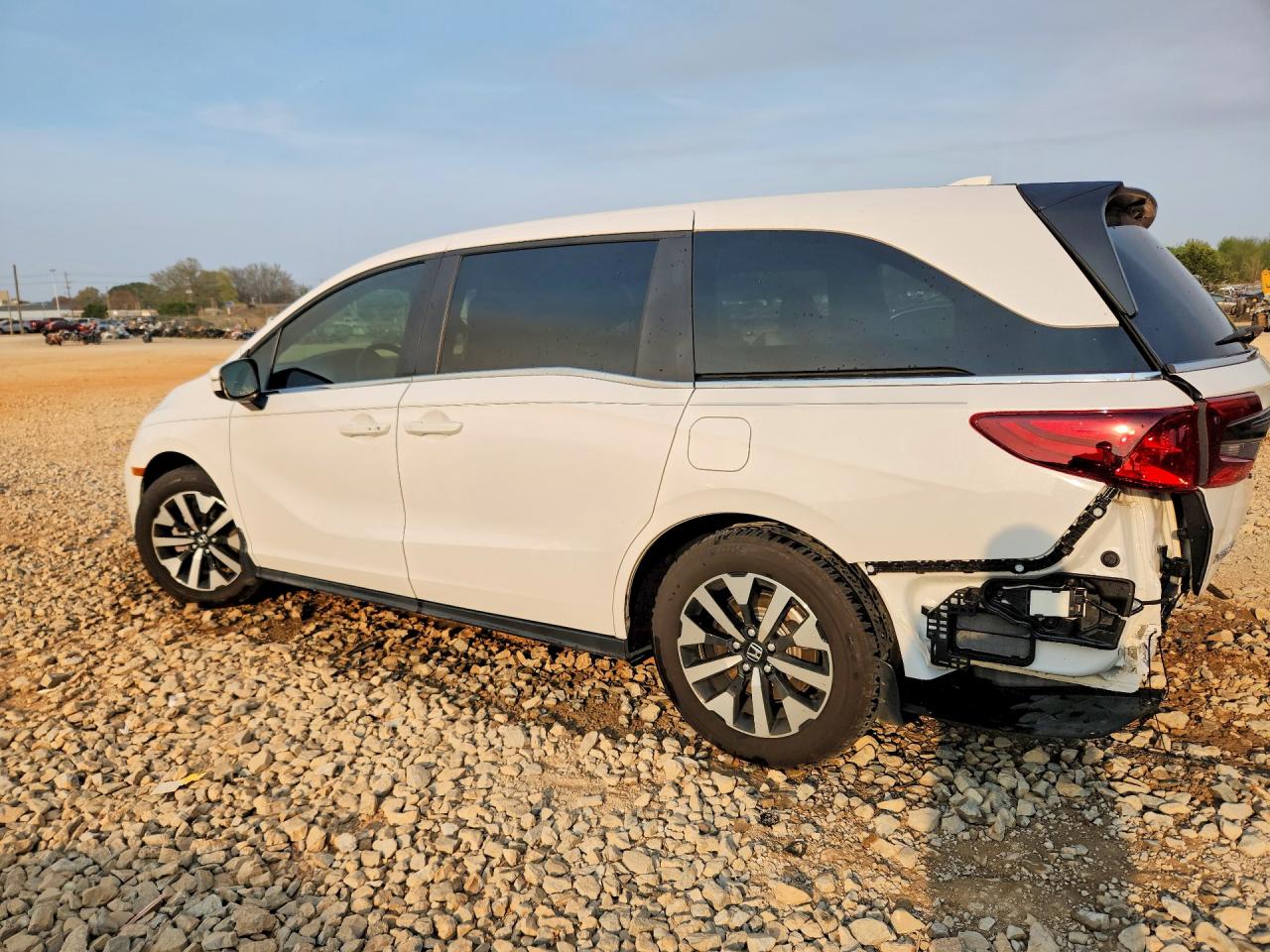 2025 HONDA ODYSSEY EXL photo 4